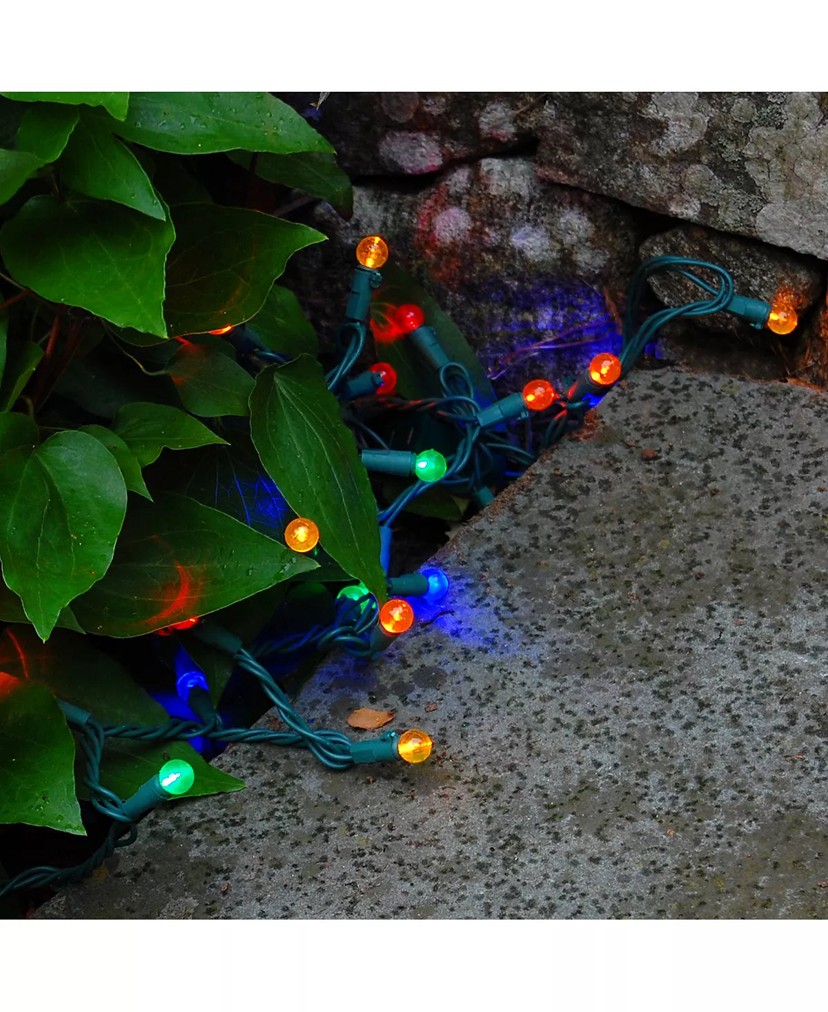 50 LED Multi Color Round Ball Shape Bulb with Green Wire
