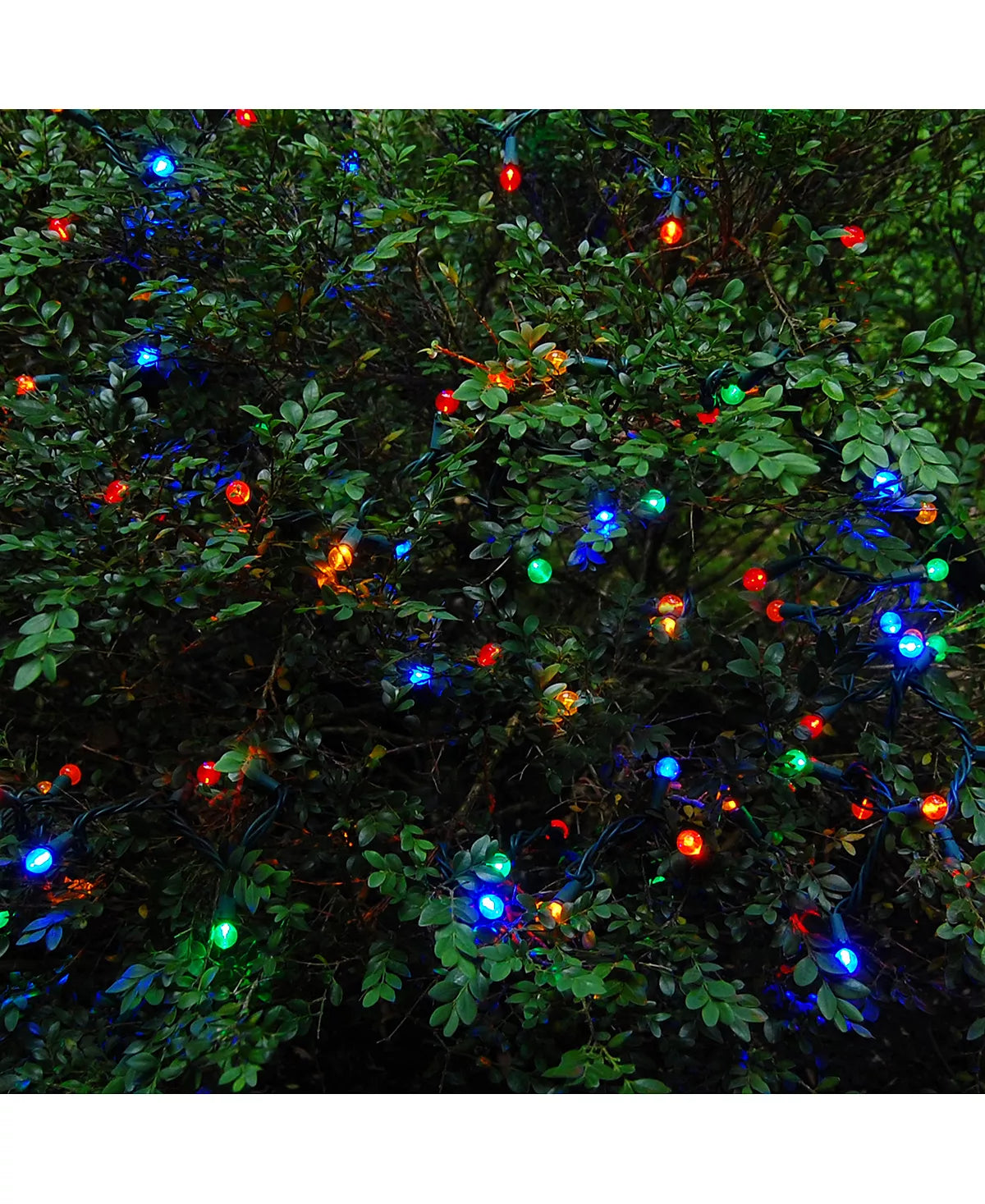 50 LED Multi Color Round Ball Shape Bulb with Green Wire