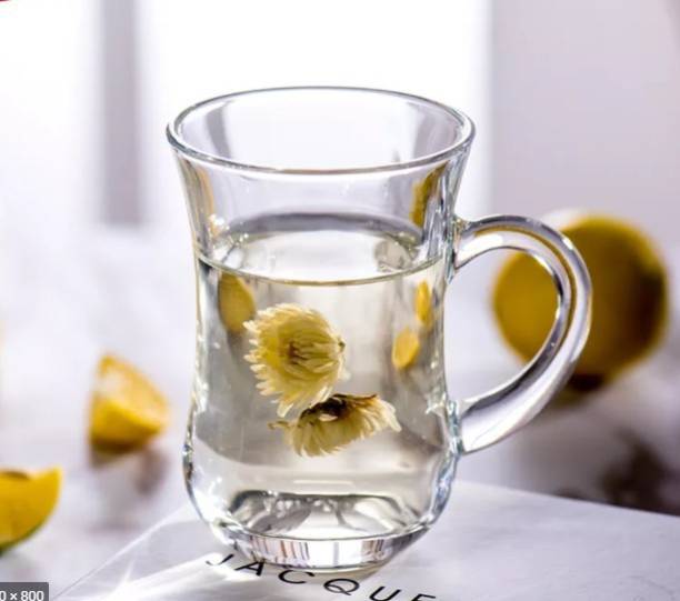6-Piece BlinkMax Glass Mugs