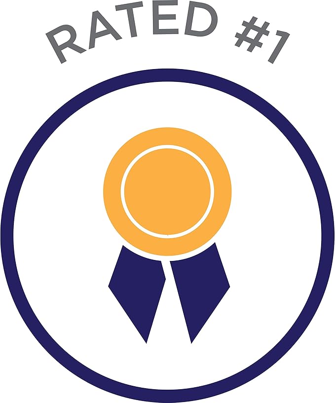 Lisboa Rocks Glasses, Set Of 4 Classic Everyday Drinking Glasses, 12oz Cups For Kitchen,