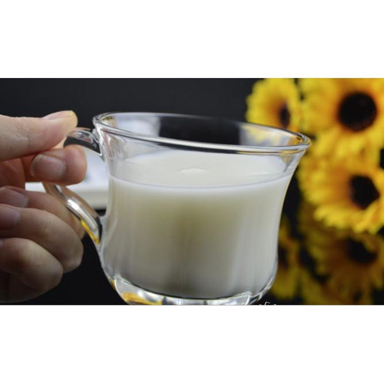 12 PC Classic Glass Cup Set