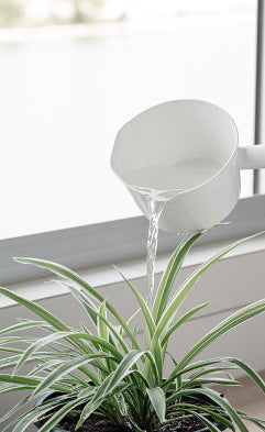 2.5L White Plastic Ladle ( Water Scoop )