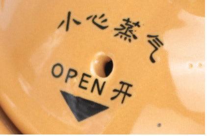 4 QT Narita Electric Herbal Medicine Pot