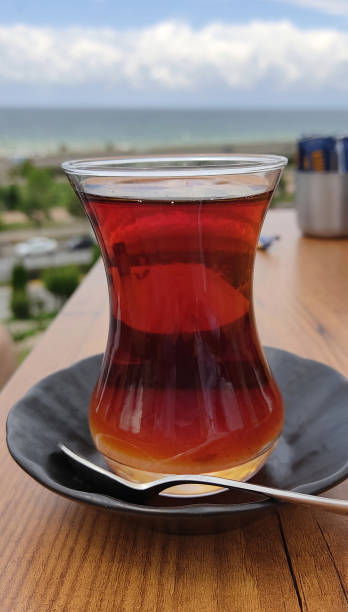 3 L Kappa Stainless Steel Tea Pot Set