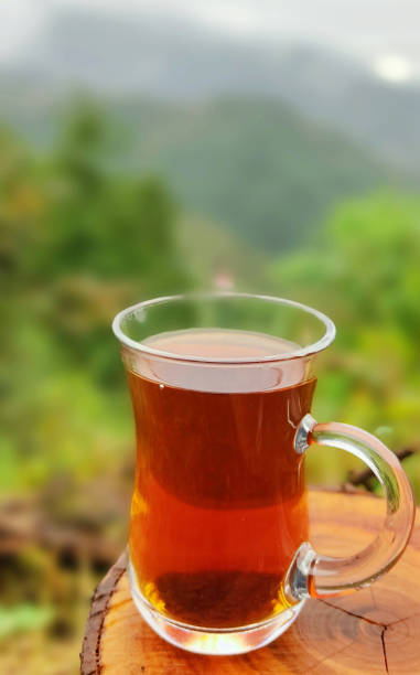 3 L Kappa Stainless Steel Tea Pot Set