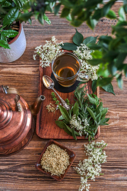 2.3L Korkmaz Butterfly Stainless Steel Kettle