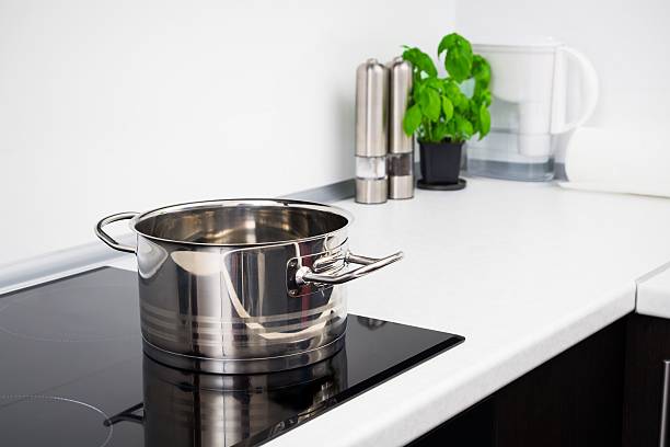 25 QT Stainless Steel 18/10 Induction Stock Pot