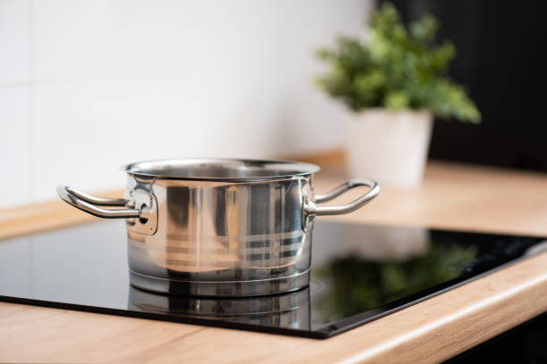 25 QT Stainless Steel 18/10 Induction Stock Pot