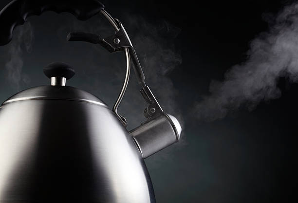 2 QT Vremi Whistling Tea Kettle - Black