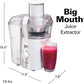 Hamilton Beach Big Mouth 800 Watt Juice Extractor