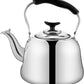1L Stainless Steel Tea Pot