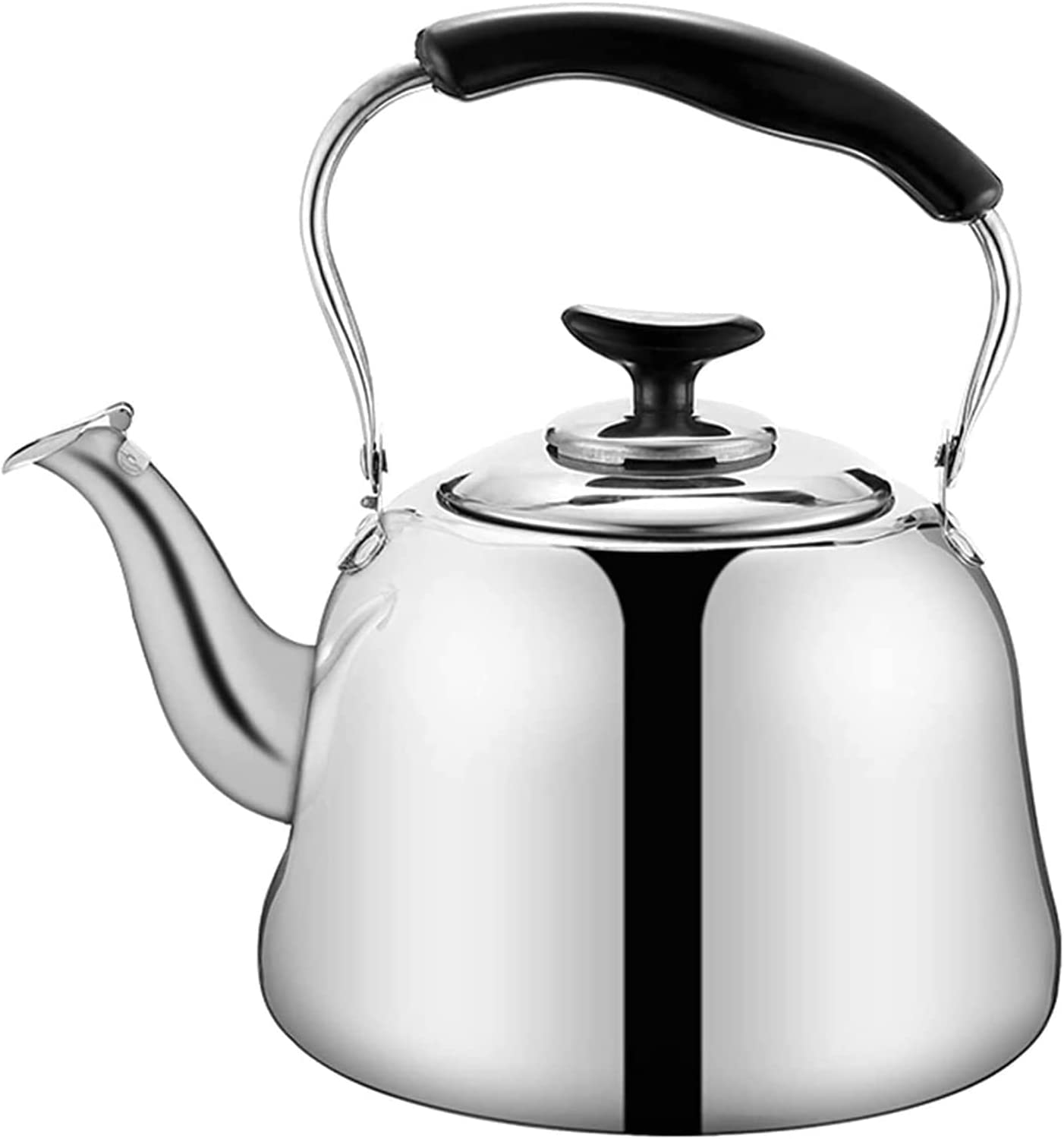 1L Stainless Steel Tea Pot