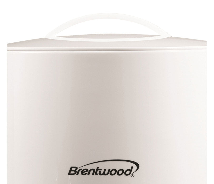 32 oz Electric Kettle Hot Pot