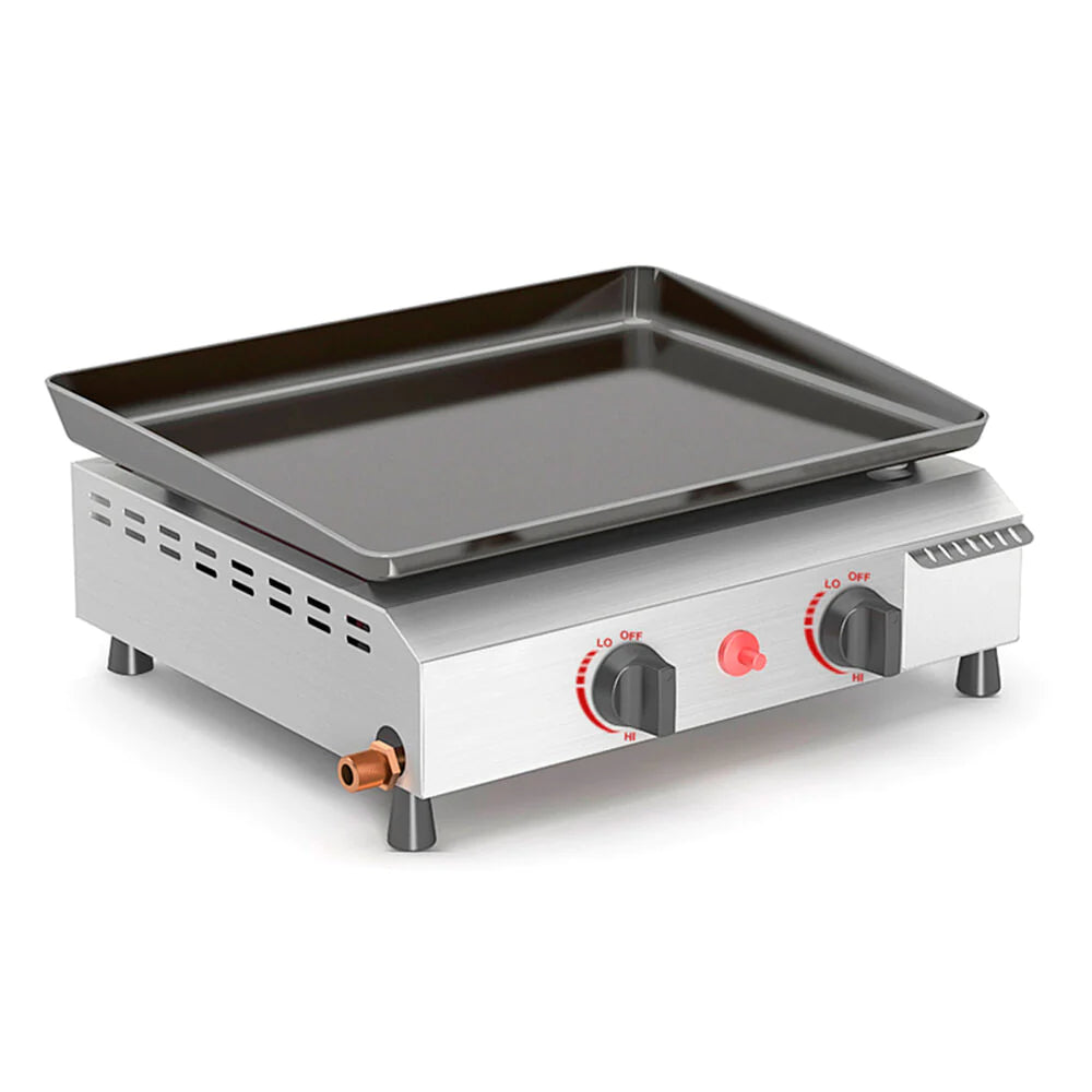 Portable 2 Burners Gas Grill in Silver with Griddle Flat Top