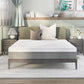 California King Size Delphinium Memory Foam Mattress