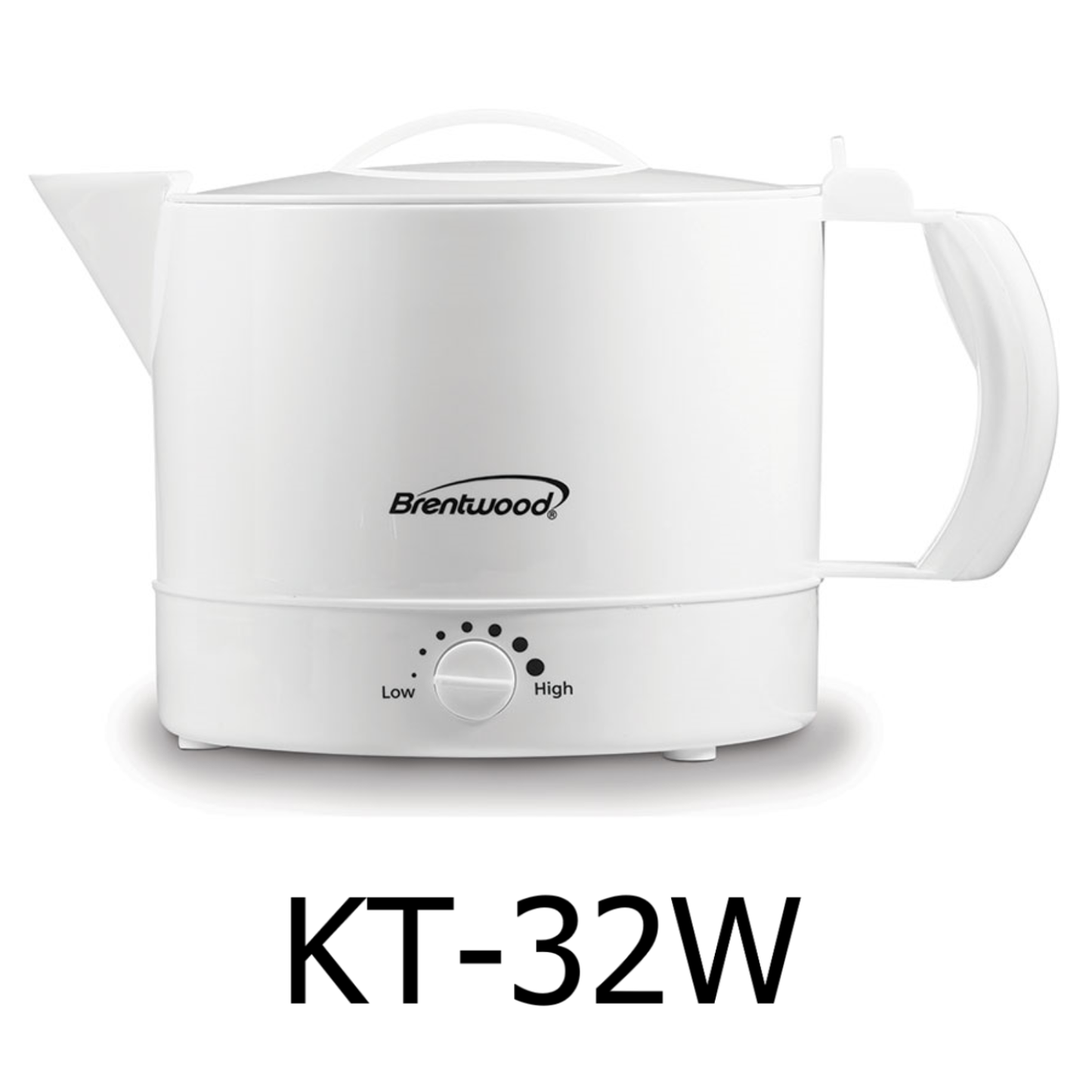32 oz Electric Kettle Hot Pot