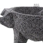 15" Molcajete Pig Face
