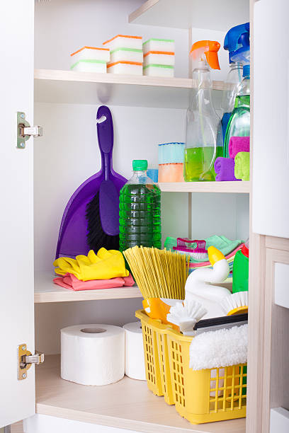 Big Plastic Organizer- Lilac