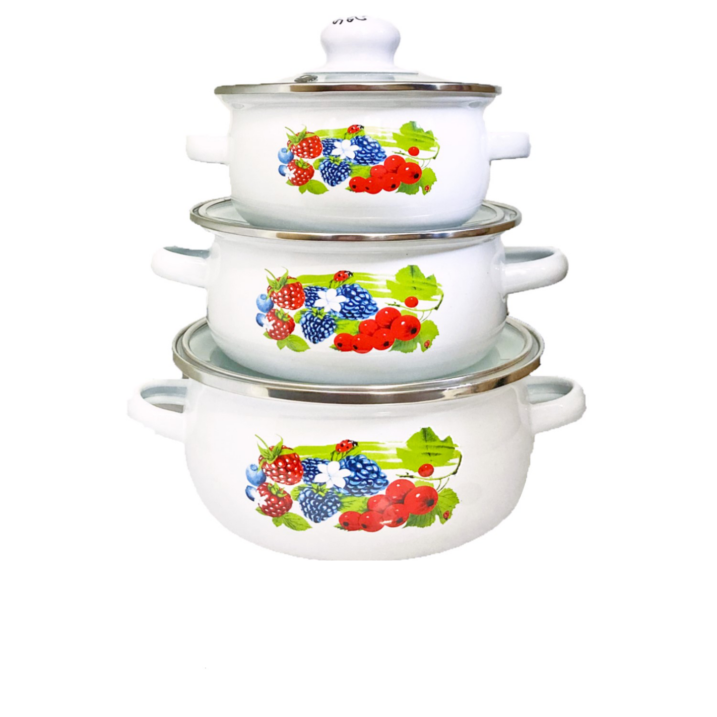 6 PC Fruits Enamel Stockpot Set