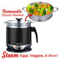 1.9 QT Brentwood Cordless Electric Hot Pot Cooker & Food Steamer