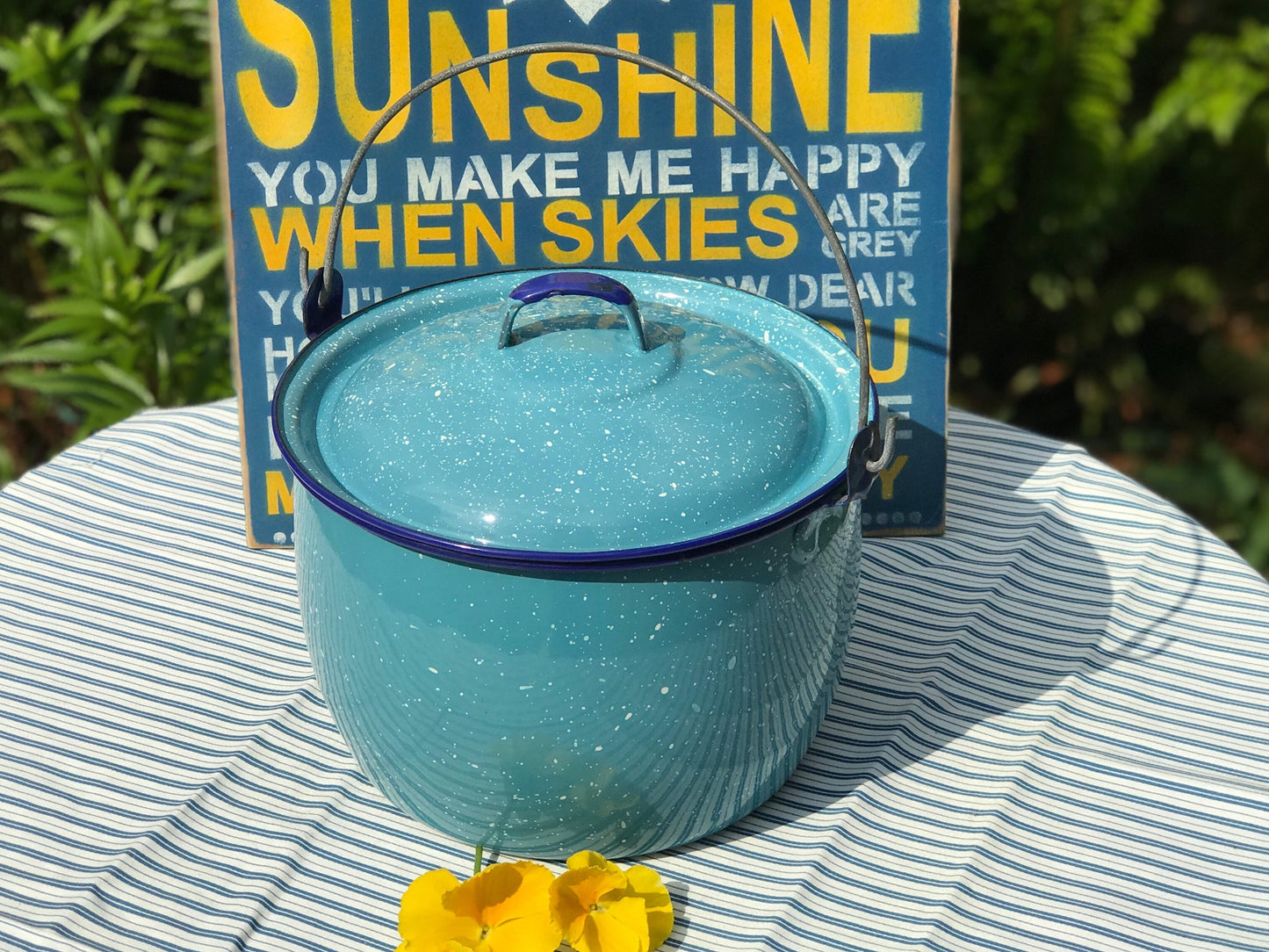 10 QT Cinsa Enamel Steel Convex Pot