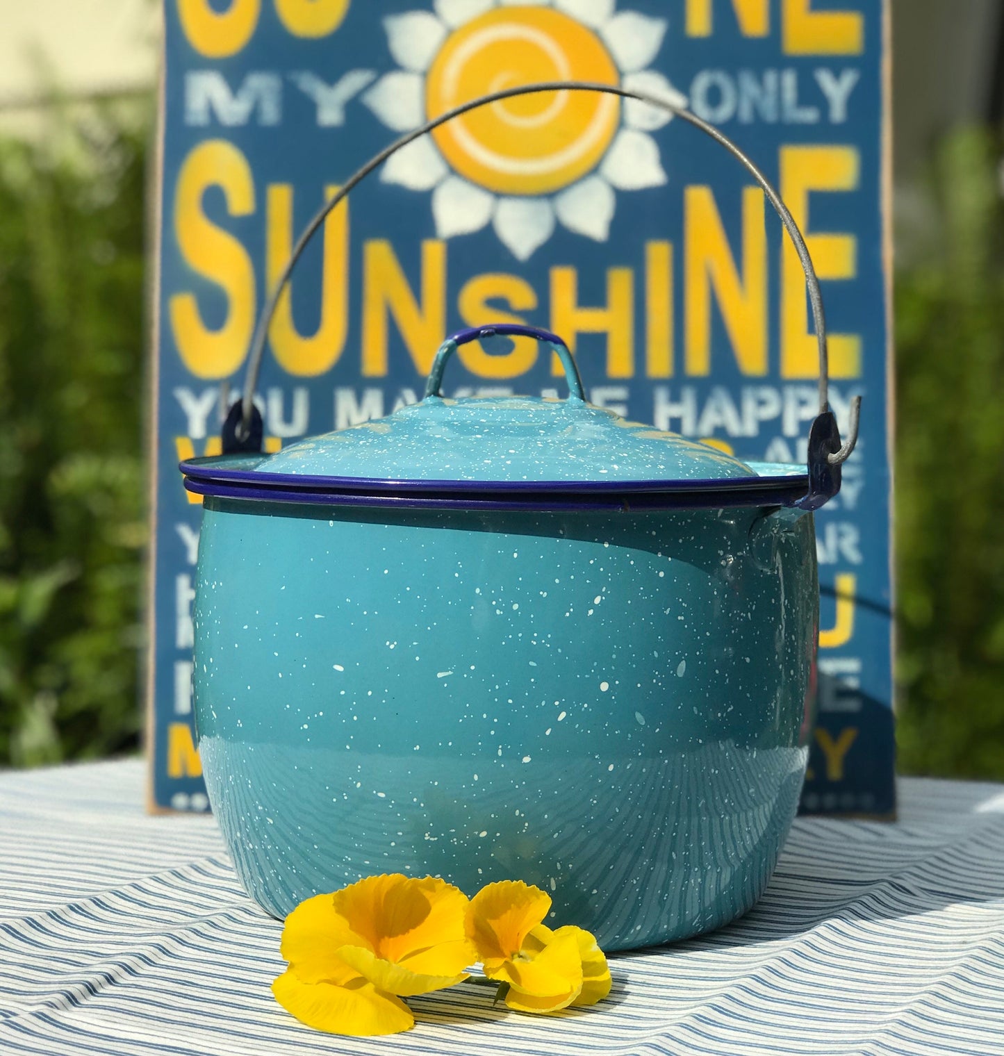 10 QT Cinsa Enamel Steel Convex Pot