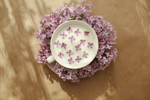 12 PC Cobalt Bohemian Tea Set