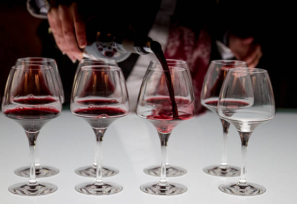 6 PC 14 Oz Cristar Brunello Wine Glasses